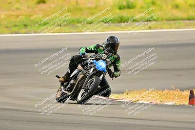 media/Apr-13-2024-Classic Track Day (Sat) [[9dd147332a]]/Mock Race/